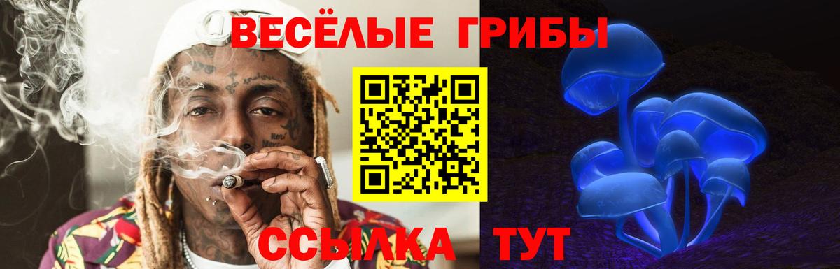 Псилоцибиновые грибы Psilocybe Зеленодольск